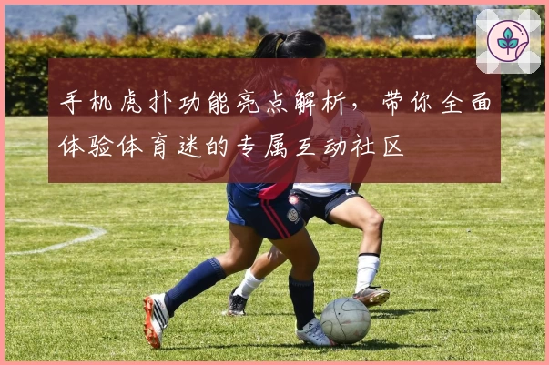 手机虎扑功能亮点解析，带你全面体验体育迷的专属互动社区